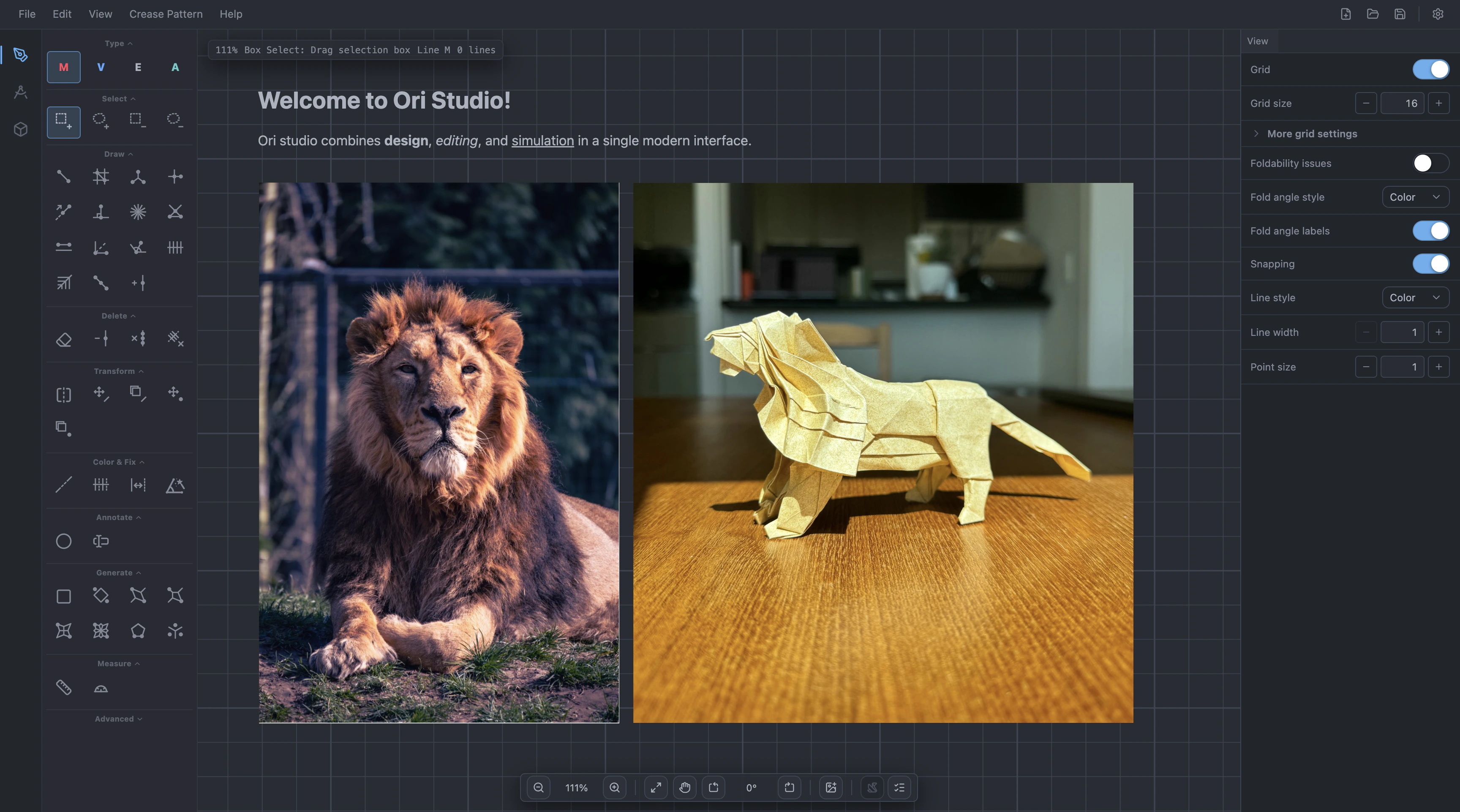 A reference photo and a text annotation placed beside a crease pattern.